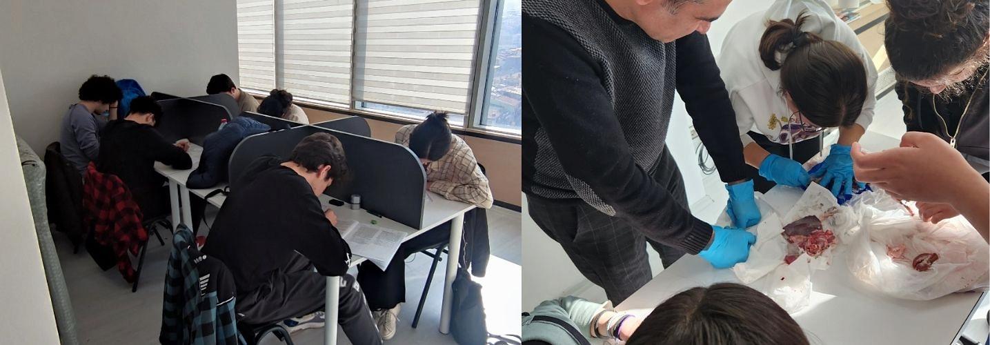 kızılay dershane önerisi ve fiyatları